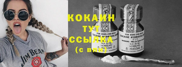 хмурый Каменка