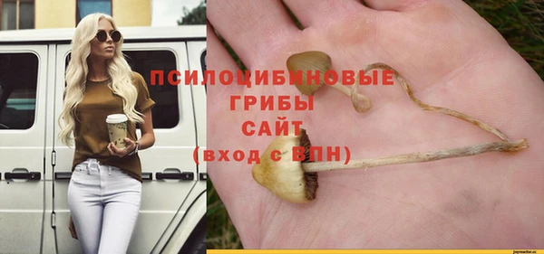 синтетический гашиш Касимов