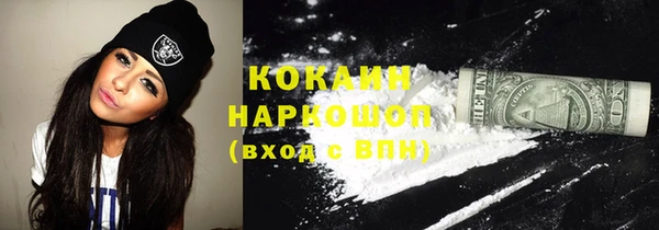 хмурый Каменка