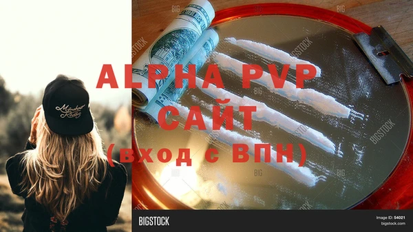 хмурый Каменка