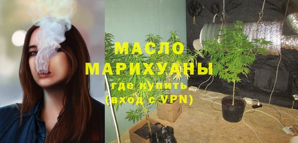 мдпв Карпинск