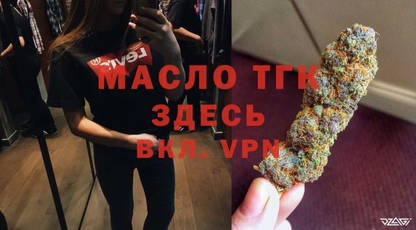 хмурый Каменка