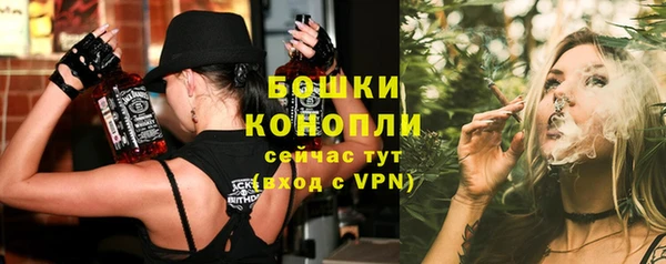 мдпв Карпинск