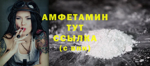 хмурый Каменка
