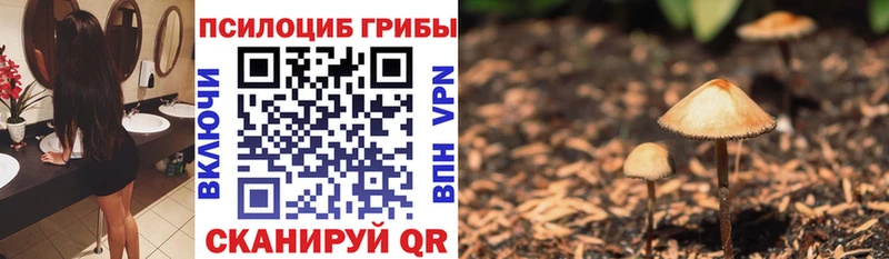 blacksprut ссылка  сколько стоит  Бердск  Псилоцибиновые грибы Cubensis 
