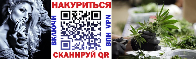 дарнет шоп  Бердск  ссылка на мегу ссылки  Шишки марихуана марихуана 